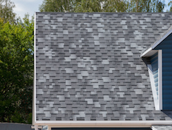 Talk with Us about Your Roof Options